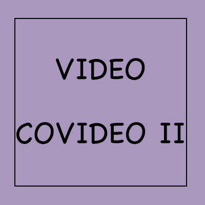 COVIDEO II